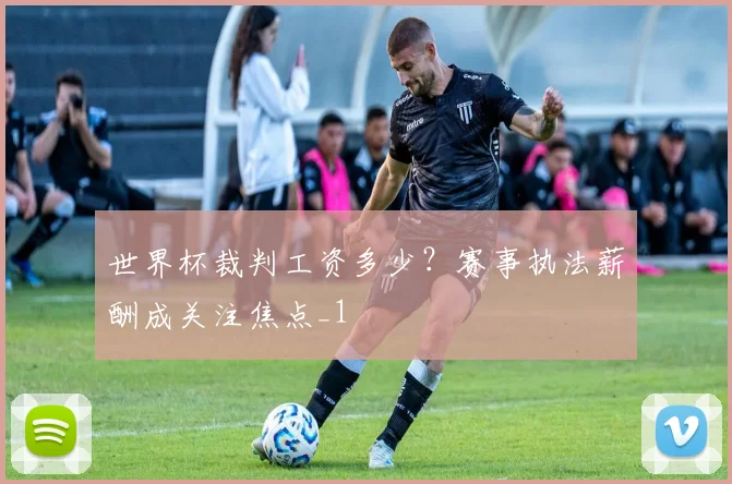 世界杯裁判工资多少？赛事执法薪酬成关注焦点_1