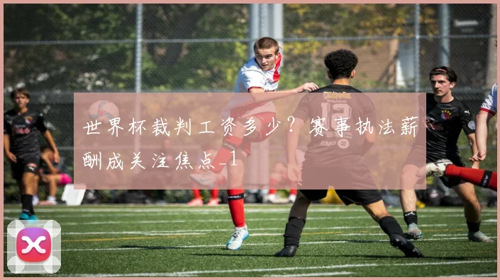 世界杯裁判工资多少?赛事执法薪酬成关注焦点_1