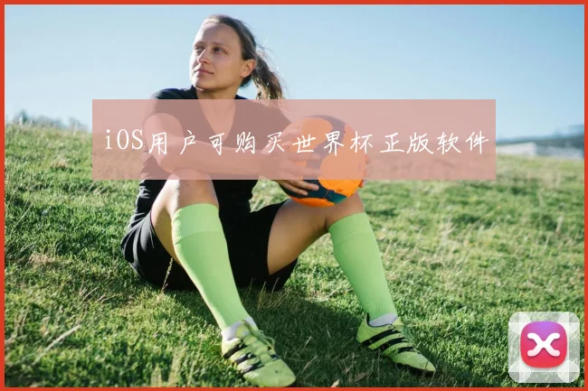 iOS用户可购买世界杯正版软件