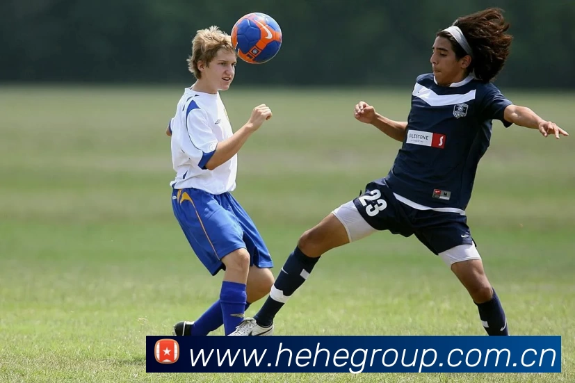 多媒体互动体验