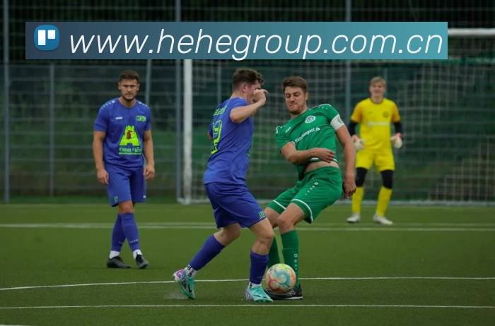 kaiyun体育在线登陆入口(China)官方网站APP 体育赛事宣传图